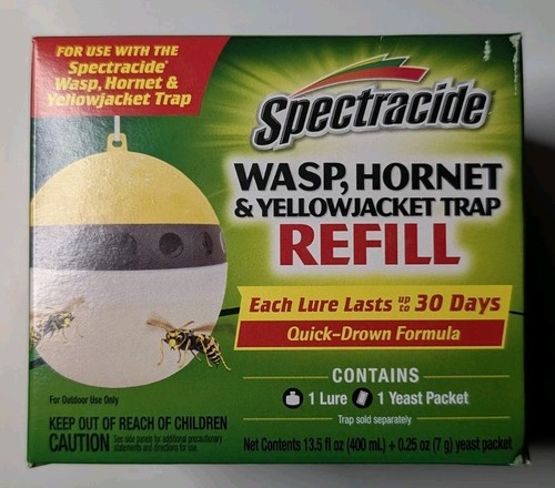 Wasp hornet and yellow jacket - and,